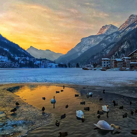 Hotel Naturae Wellness & Alleghe