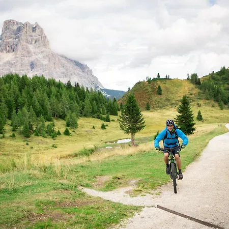 Hotel Naturae Wellness & Alleghe